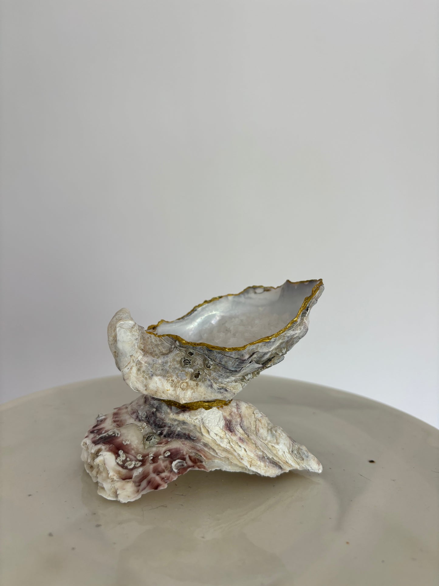 ARIEL oyster salt shaker