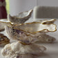 ARIEL oyster salt shaker