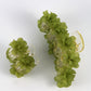 Small FLEUR flower hair claw - Green