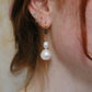Freshwater pearl DENISE earrings